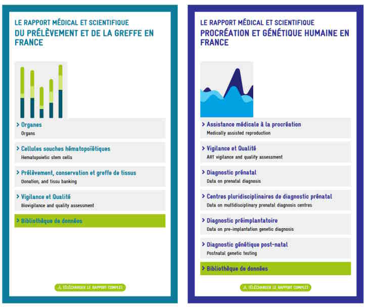 RAPPORT 2021 ABM