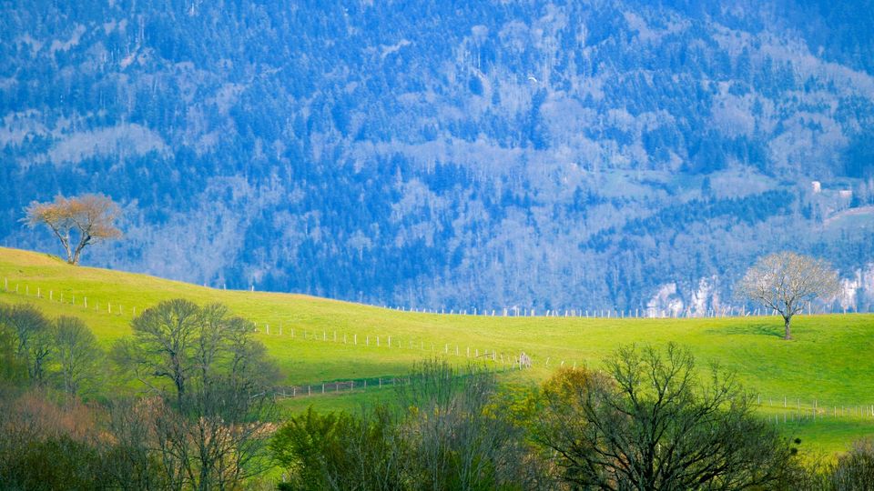 Le don d'organe Line Blanchon