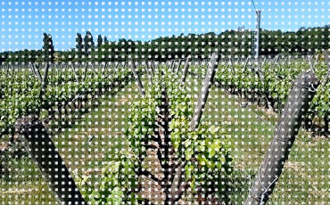 Région Aquitaine Picture by DAUMAL Christian